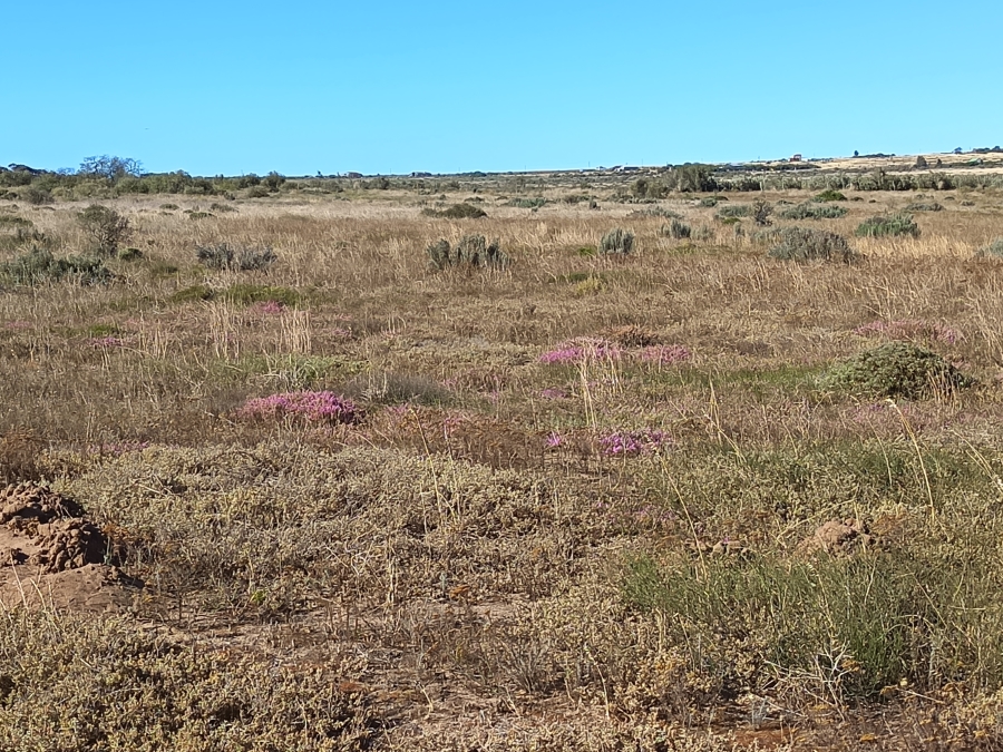 0 Bedroom Property for Sale in Nieuwerust Western Cape